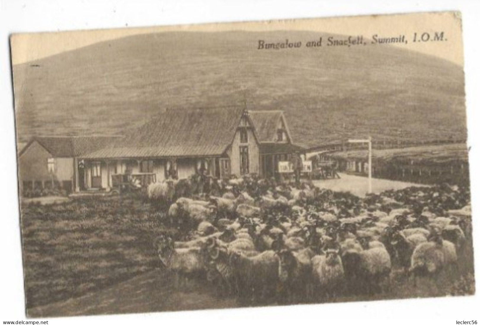 ILE DE MAN BUNGALOW AND SNAEFELL, SUMMIT, I.O.M. 1920 CPA troupeau de moutons