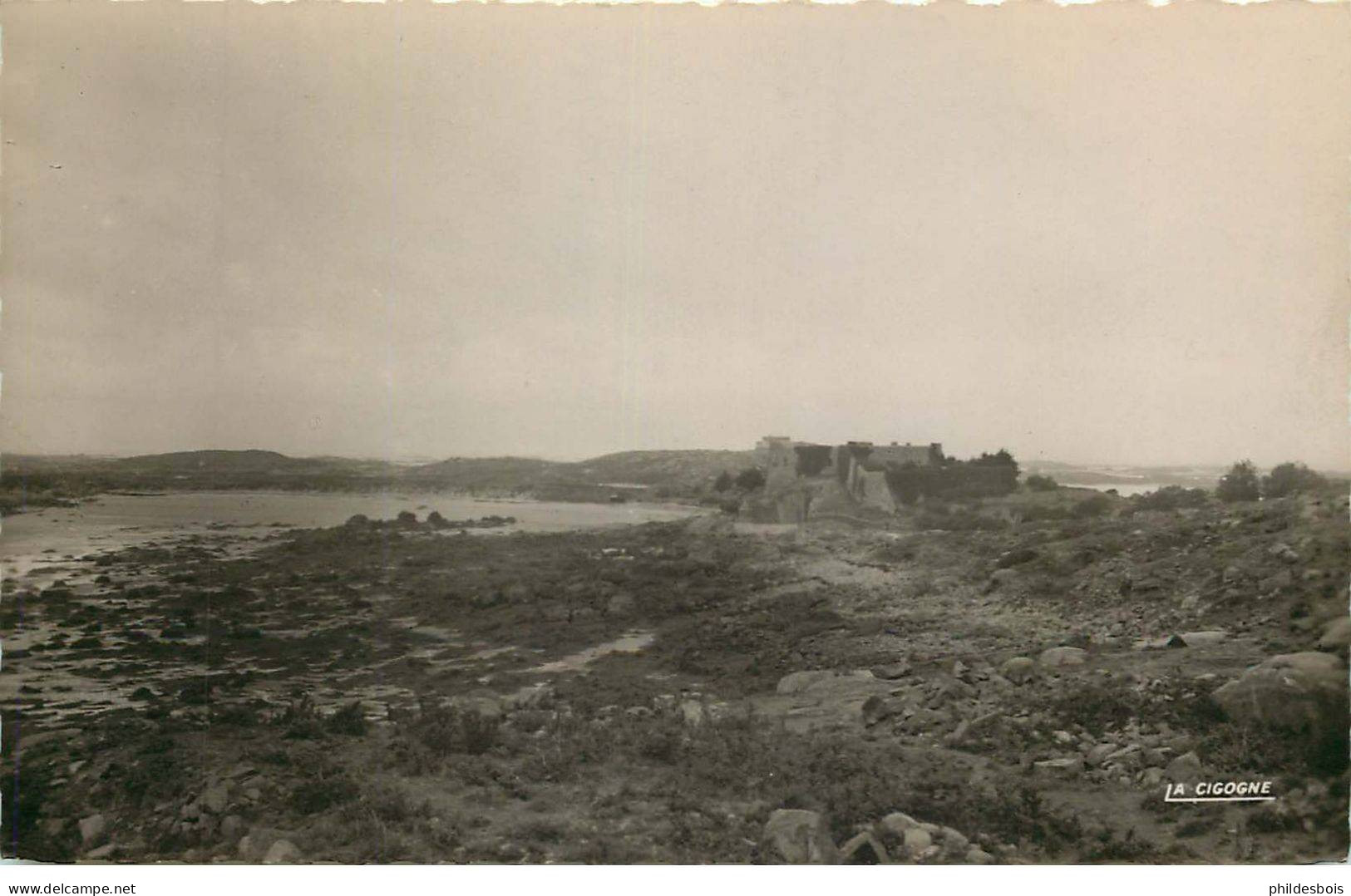 ILES DE LA MANCHE  ILES CHAUSEY