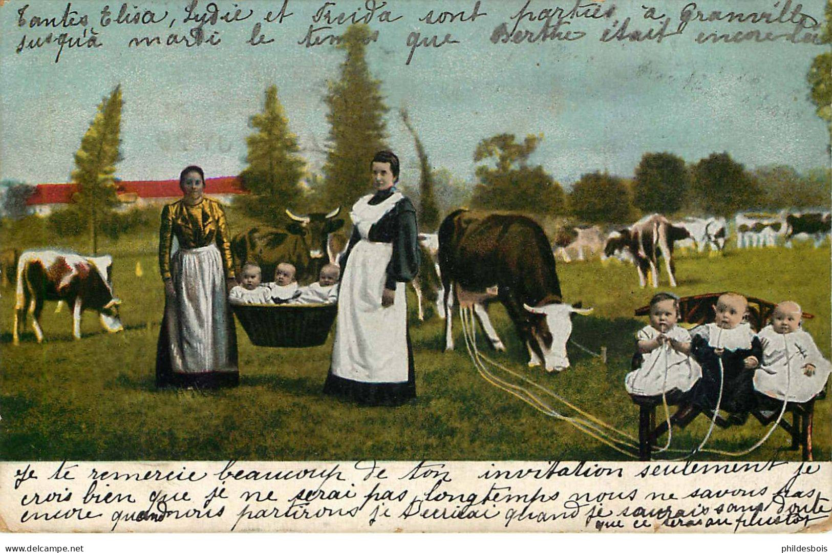 ILES DE LA MANCHE  JERSEY