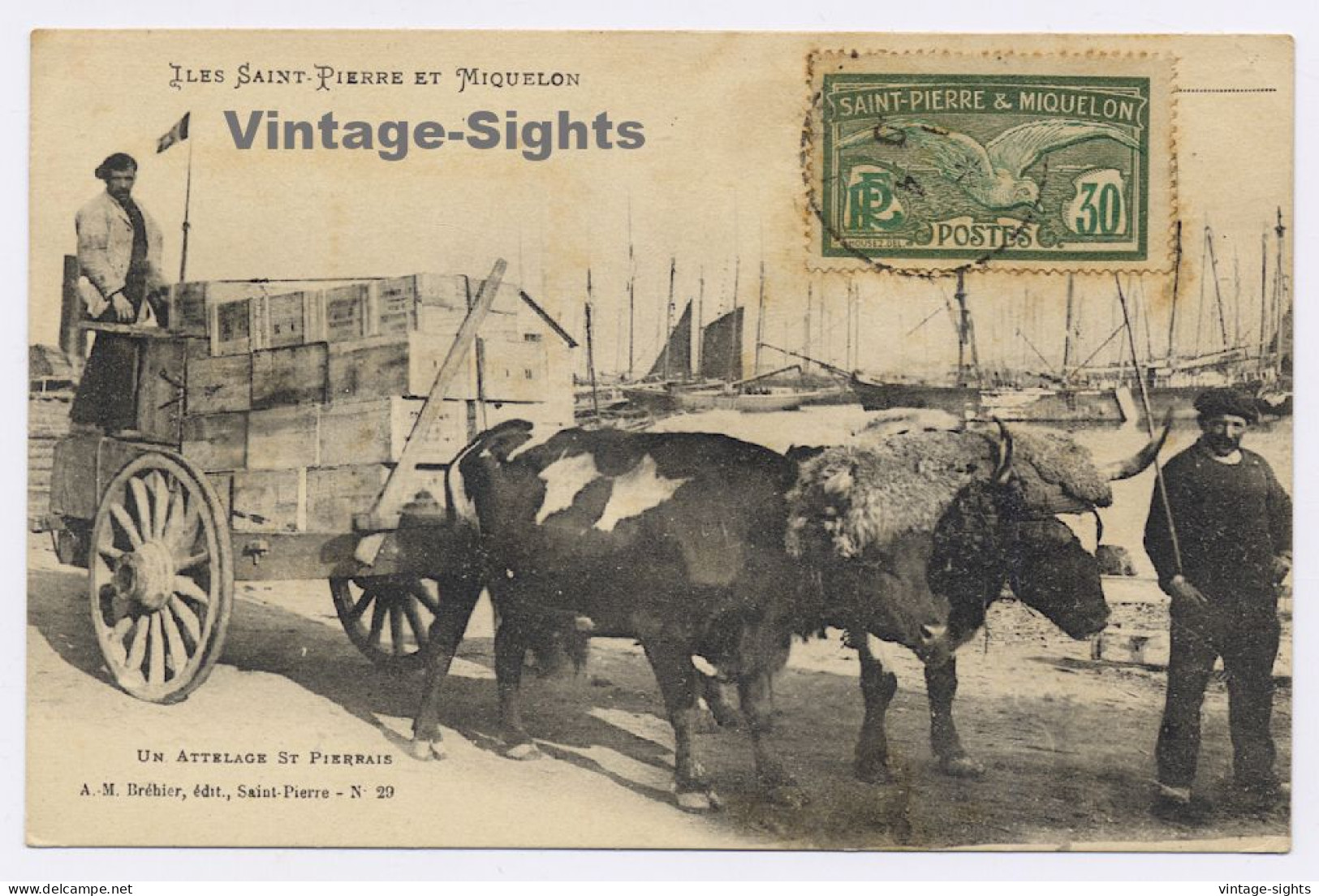 Iles Saint-Pierre Et Miquelon: Un Atterlage St. Pierrais (Vintage PC 1930)