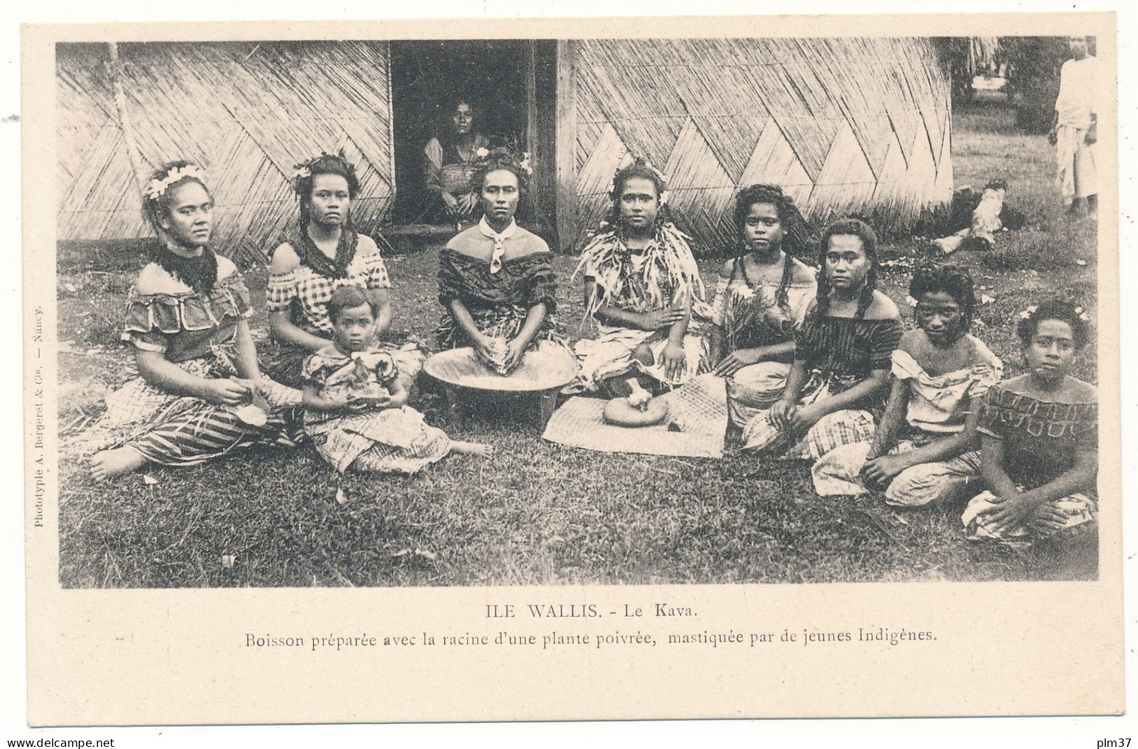 ILES WALLIS - Le Kava