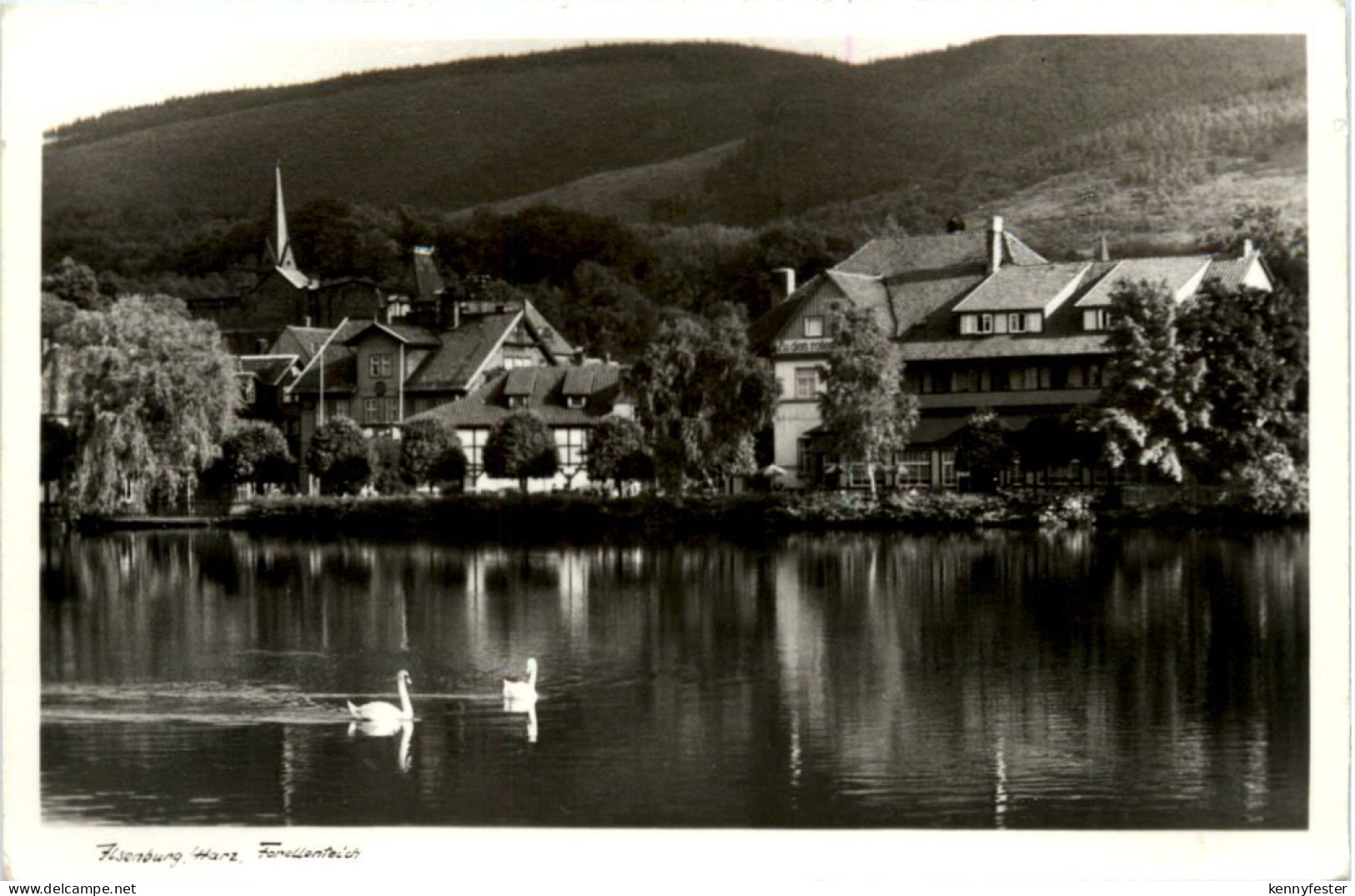 Ilsenburg, Forellenteich