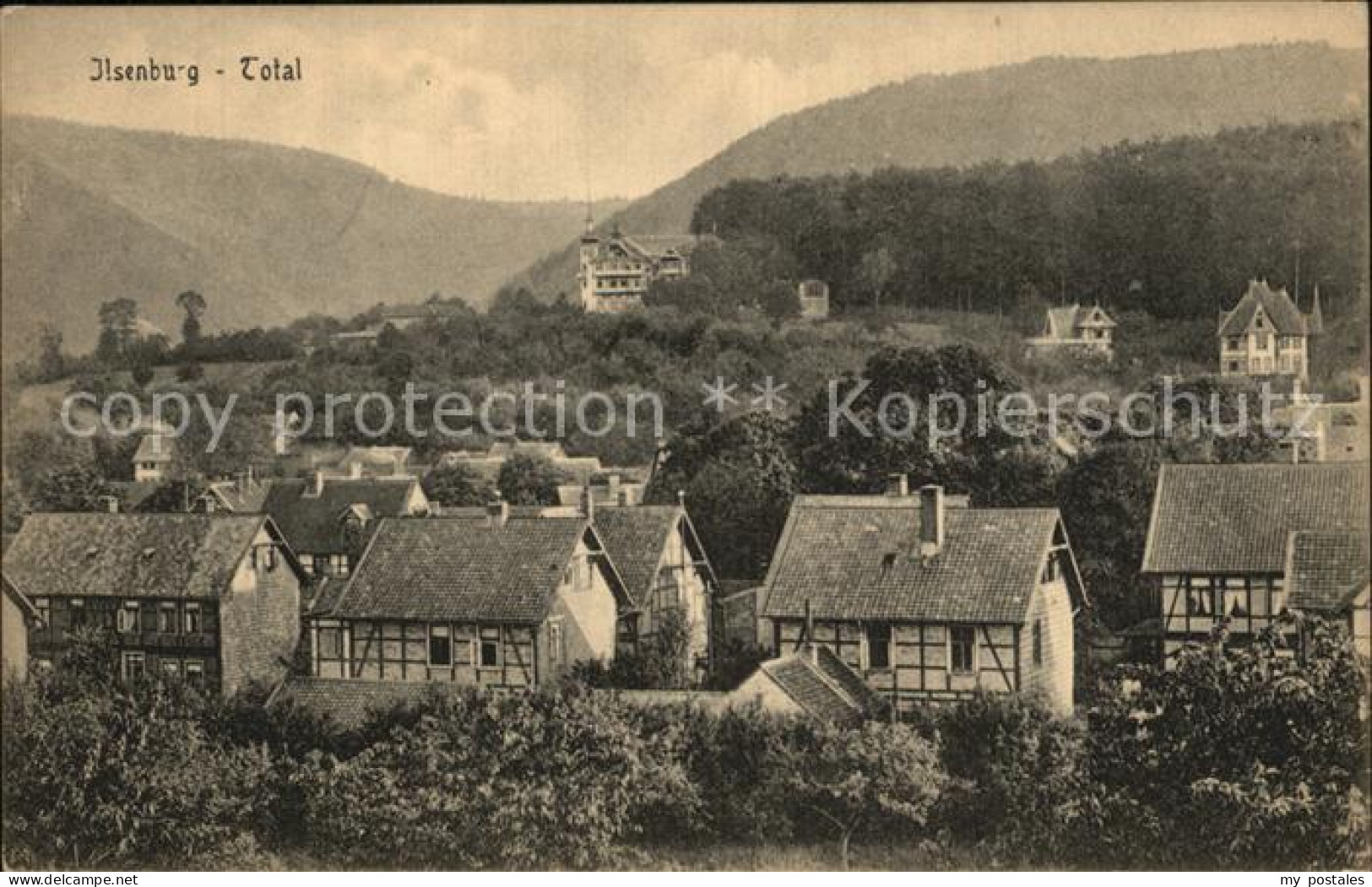 Ilsenburg Harz Ansicht