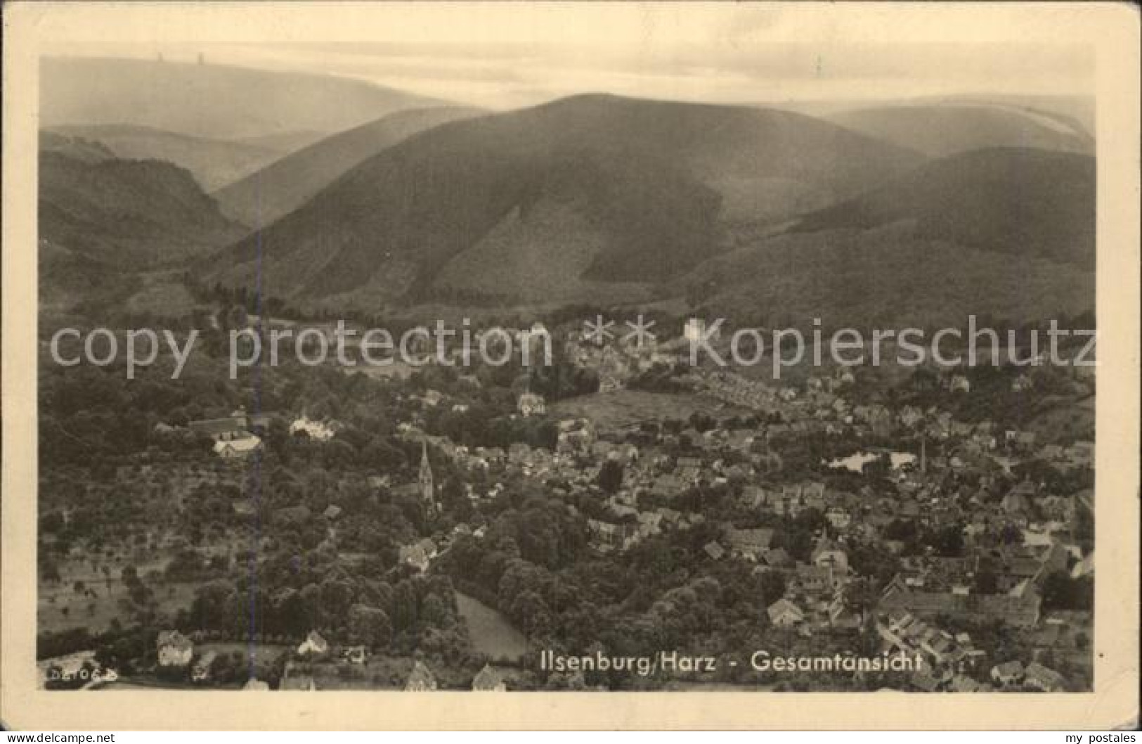 Ilsenburg Harz Gesamtansicht