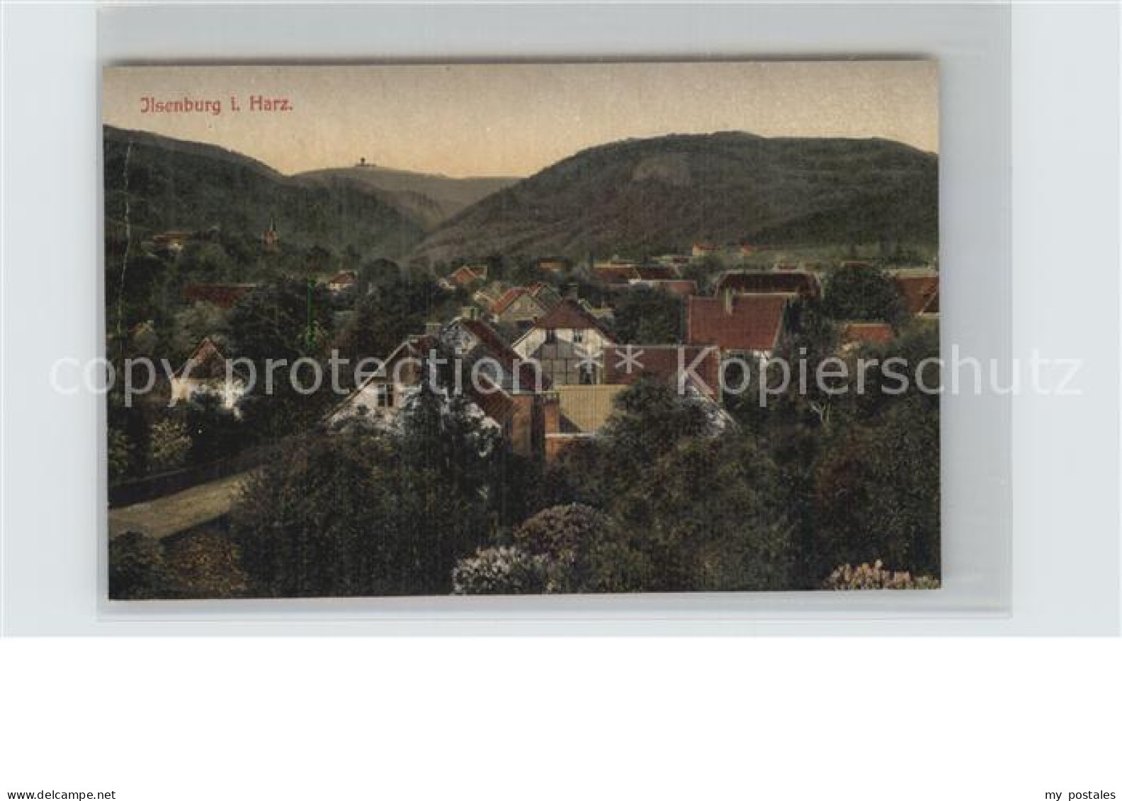 Ilsenburg Harz Teilansicht