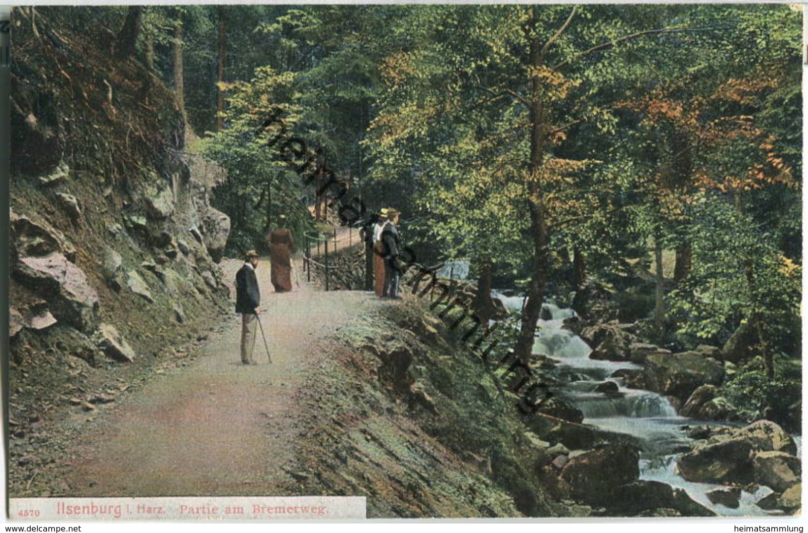 Ilsenburg - Partie am Bremerweg