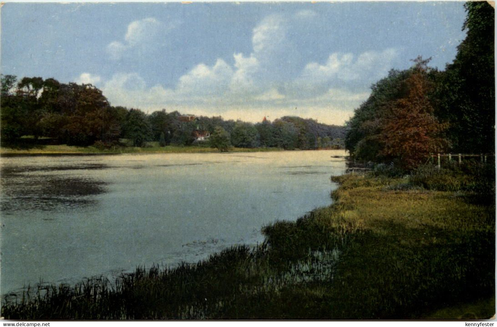 Im Sachsenwald bei Reinbek