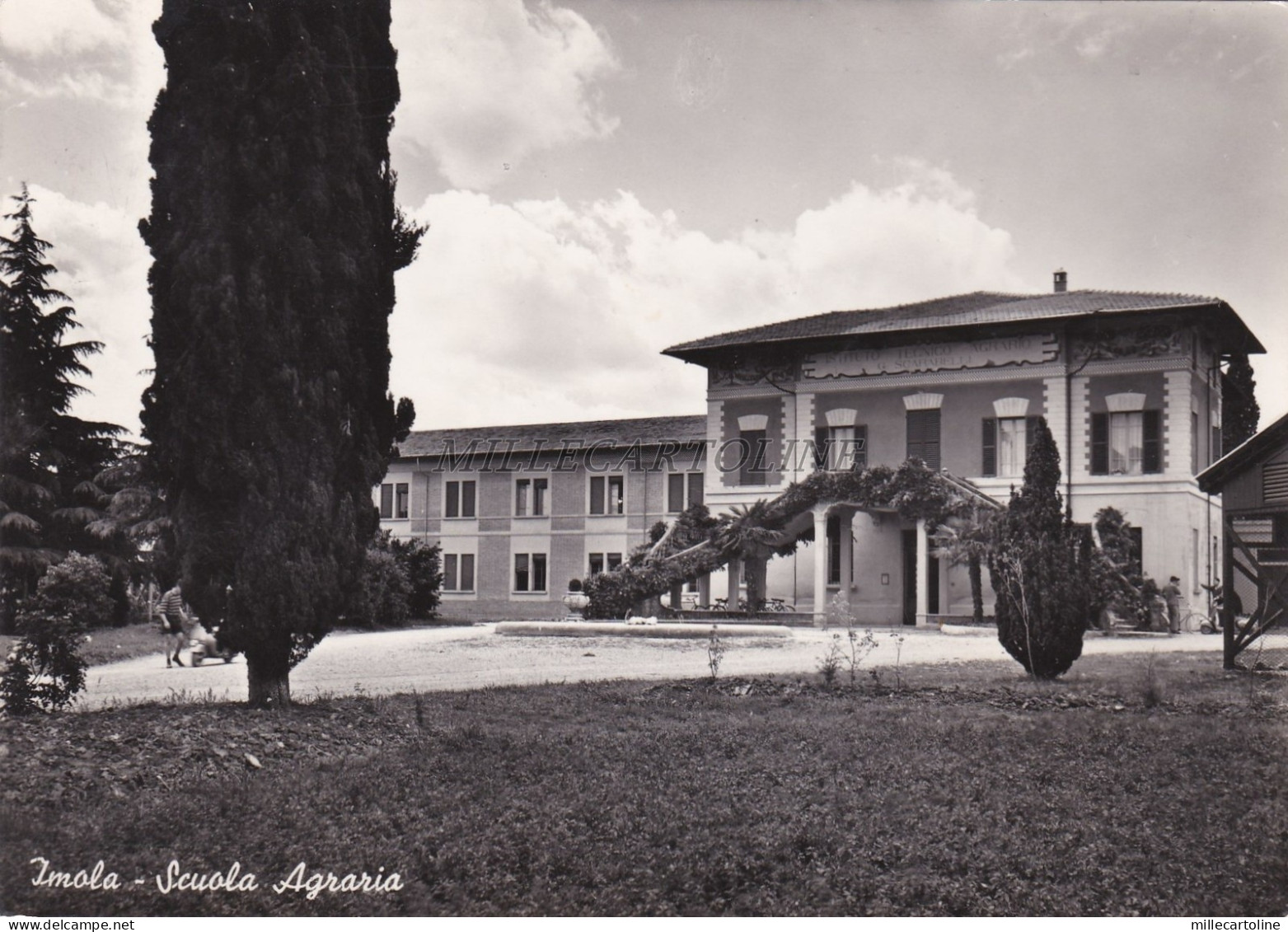 IMOLA (Bologna) - Scuola Agraria 1954