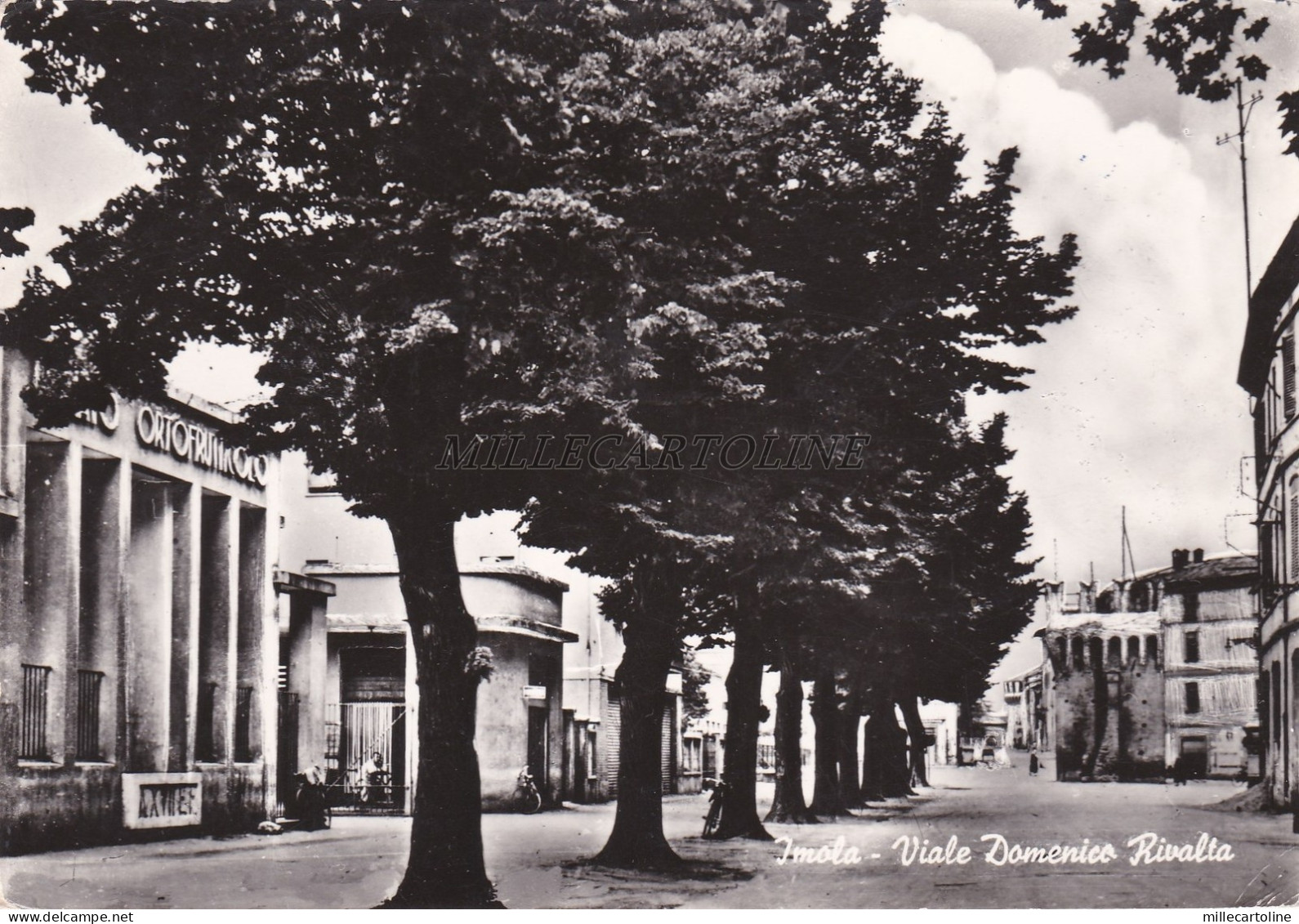 IMOLA (Bologna) - Viale Domenico Rivalta 1962