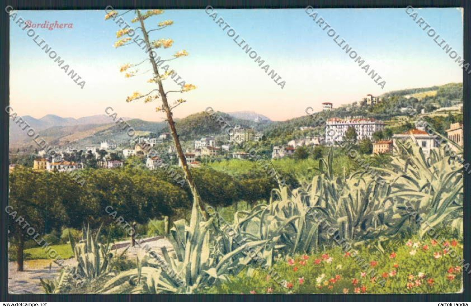 Imperia Bordighera cartolina RB2146