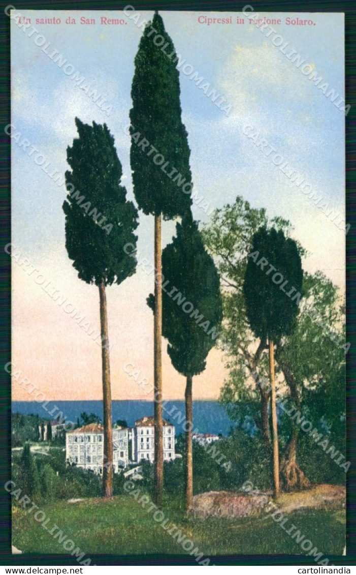 Imperia Sanremo Cartolina ZG2459