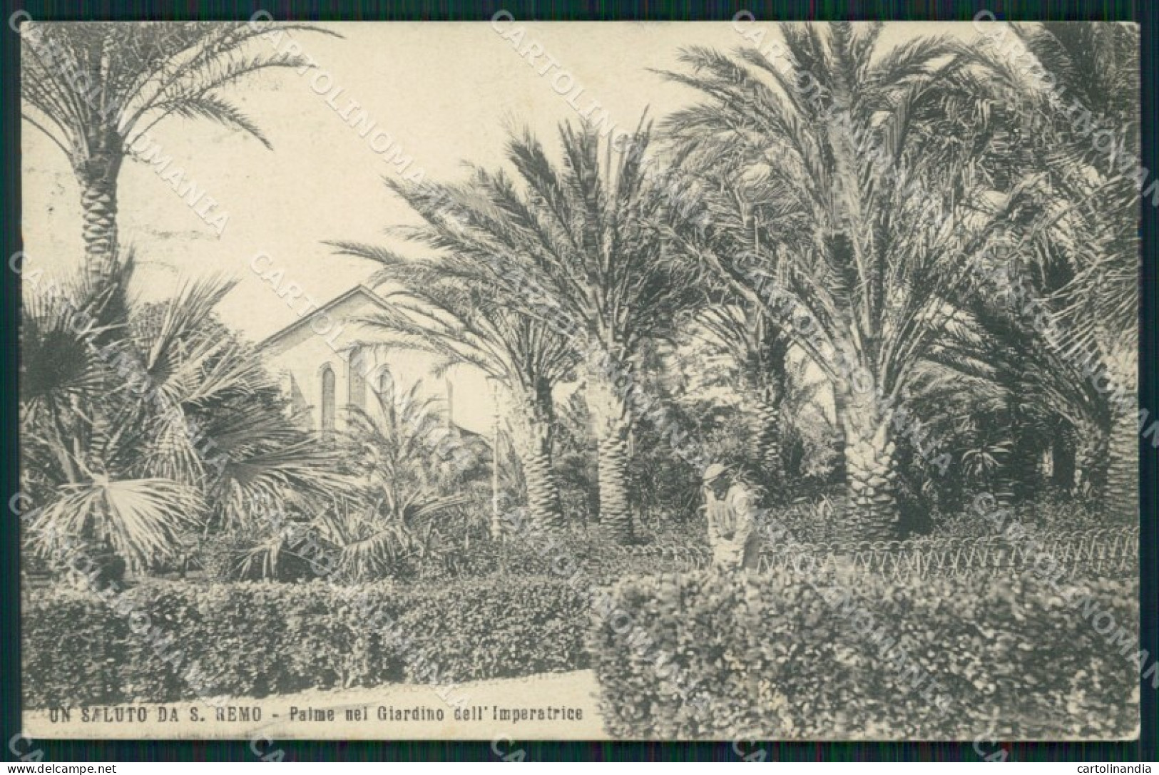 Imperia Sanremo Cartolina ZG2594