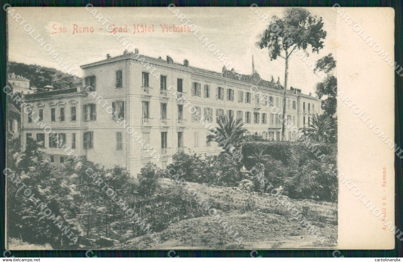 Imperia Sanremo Cartolina ZG2964