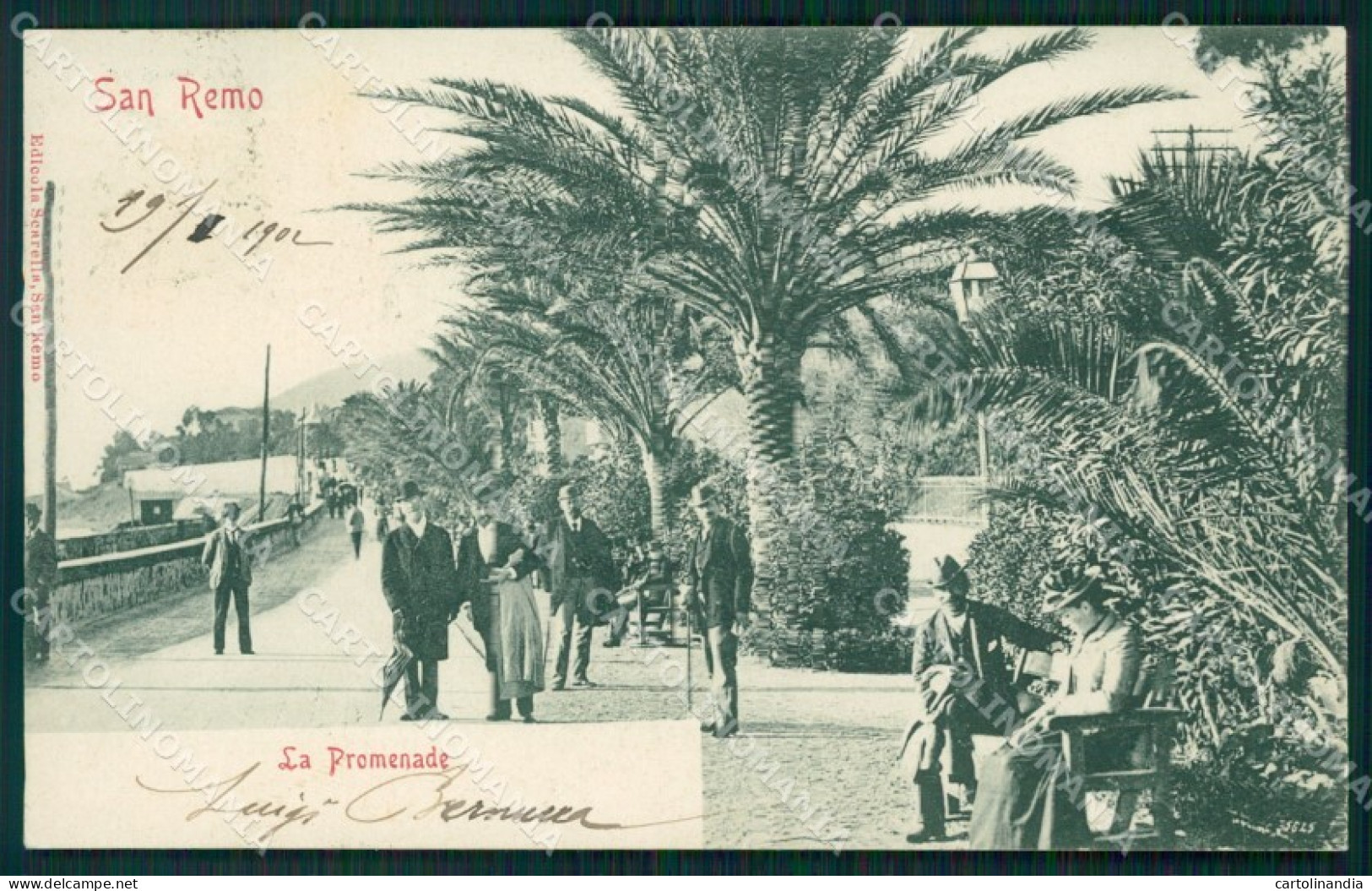 Imperia Sanremo Cartolina ZG3064