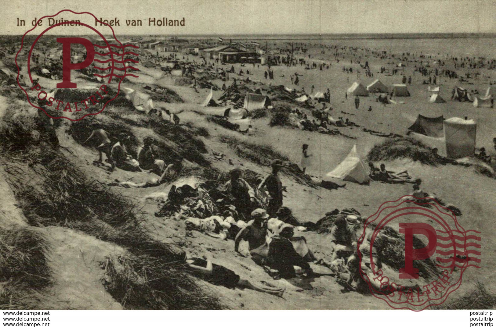 IN DE DUINEN HOEK VAN HOLLAND