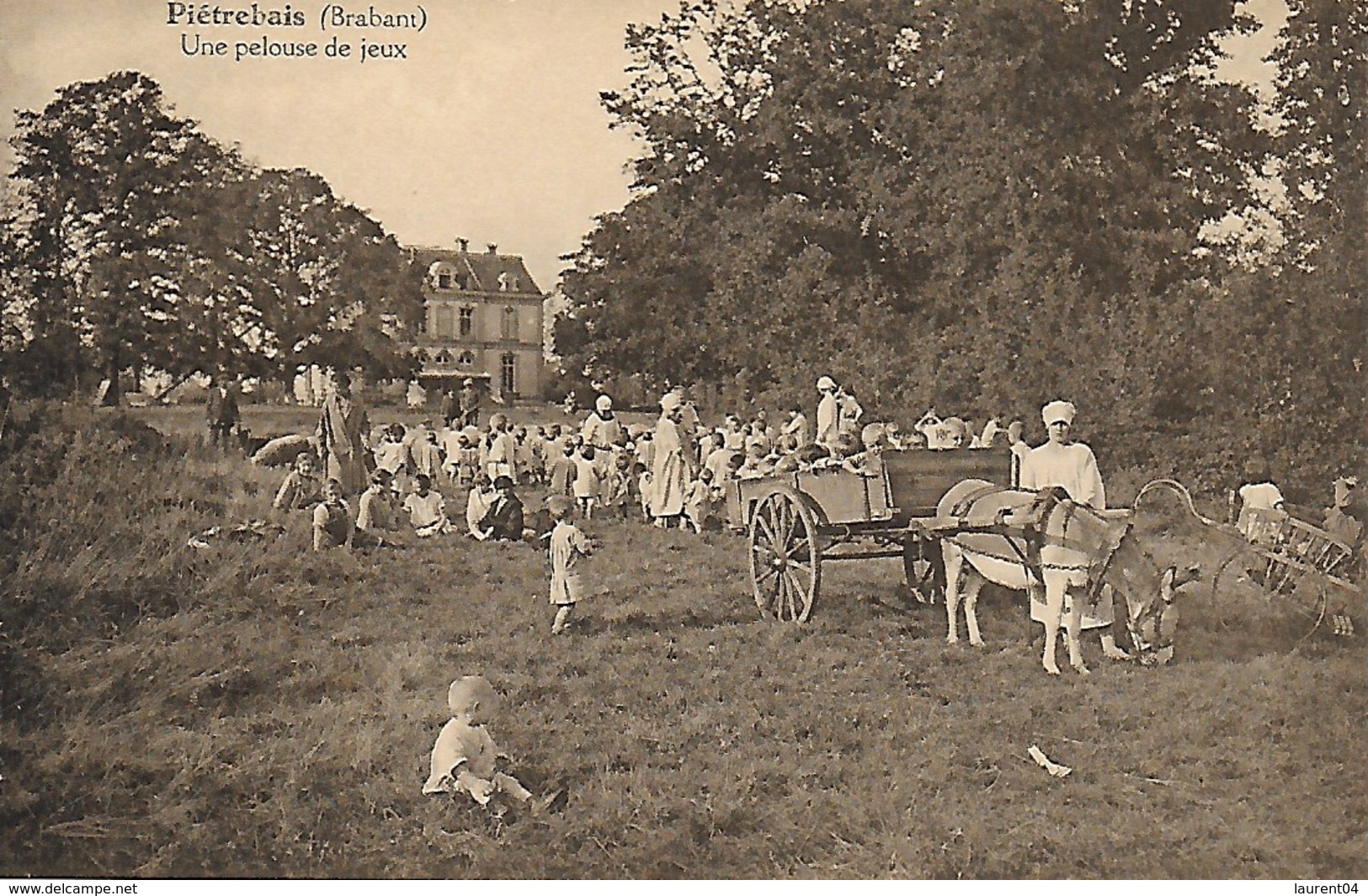 INCOURT. PIETREBAIS. SANATORIUM DE LA CHISE. UNE PELOUSE DE JEUX. BELLE ANIMATION AVEC ENFANTS ET ANE