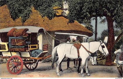 A993 India Tonga Rajpore Rajpur Dokey Cart vintage postcard
