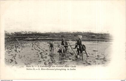 CPA Inde India Labourage dans les rizieres de l'inde