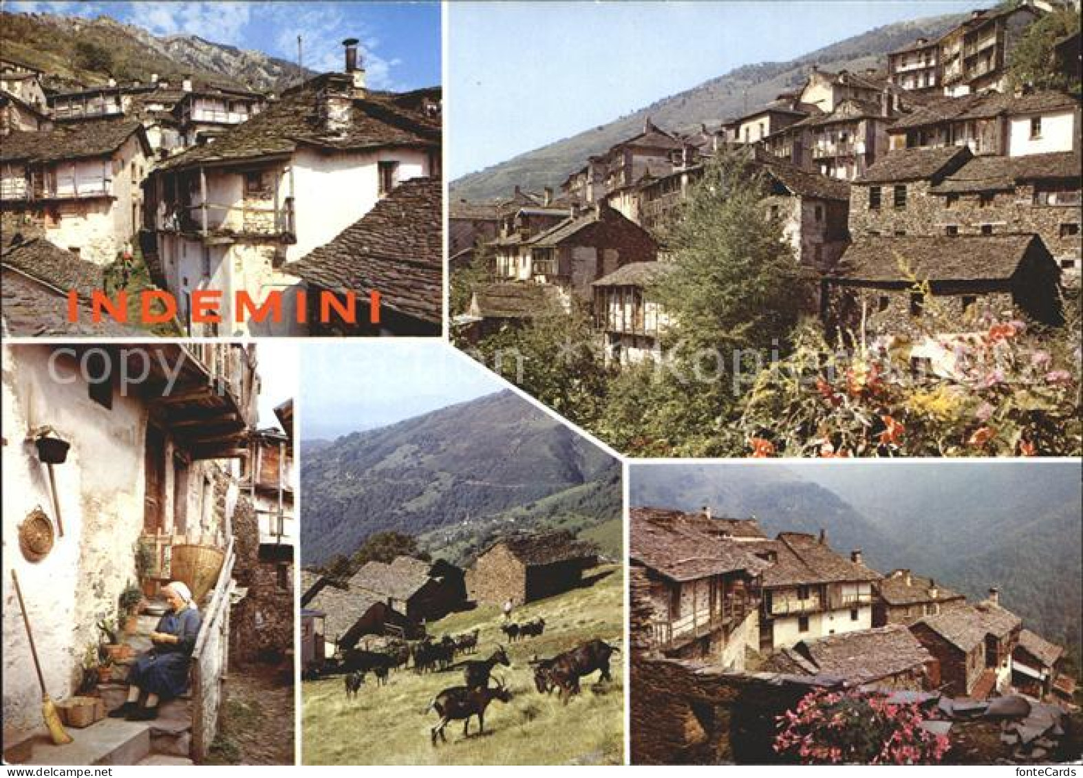Indemini