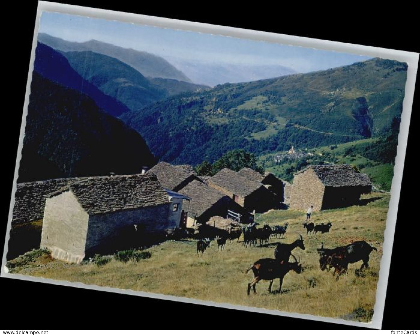 Indemini