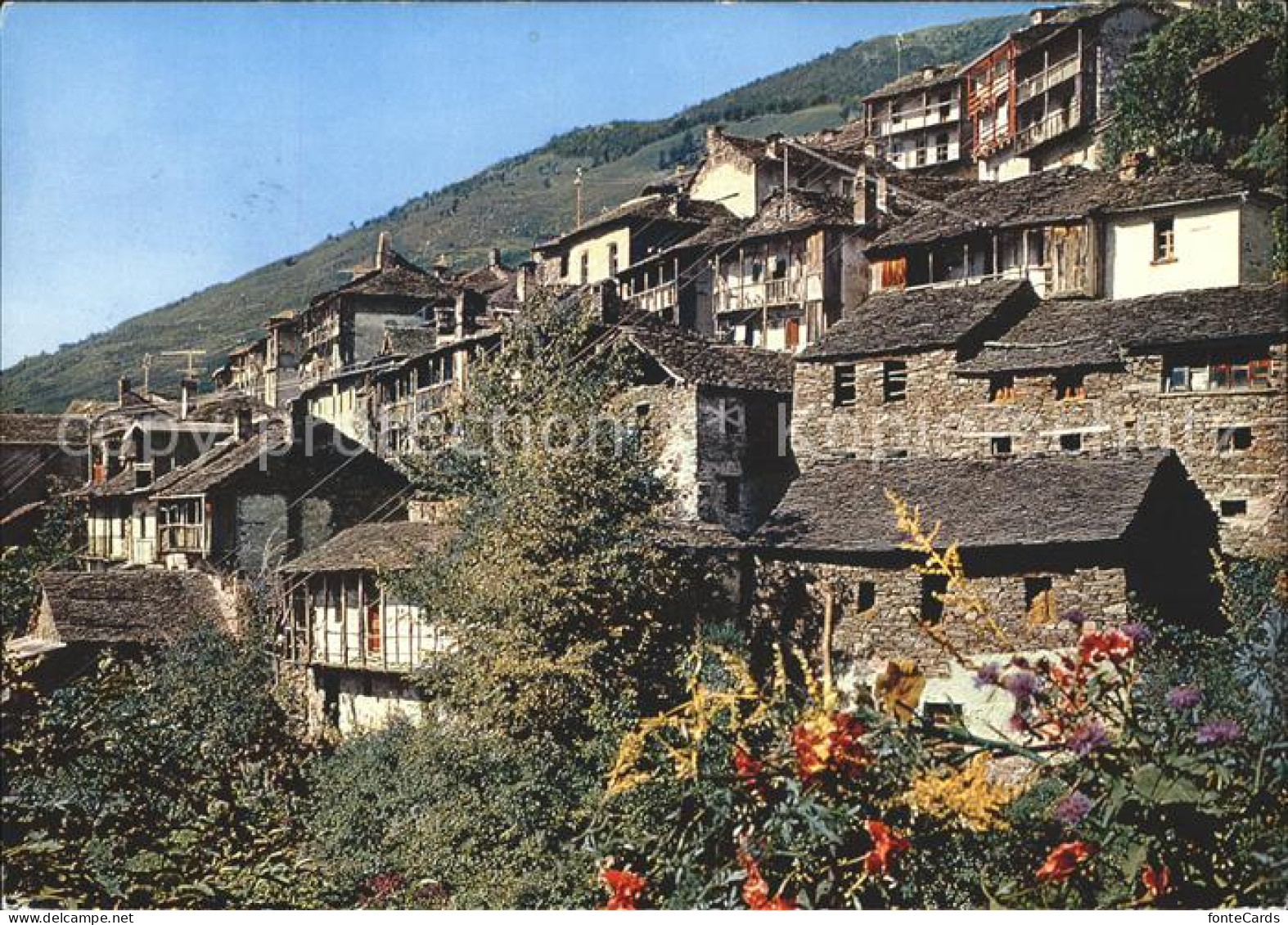 Indemini Il Ticino pittoresco