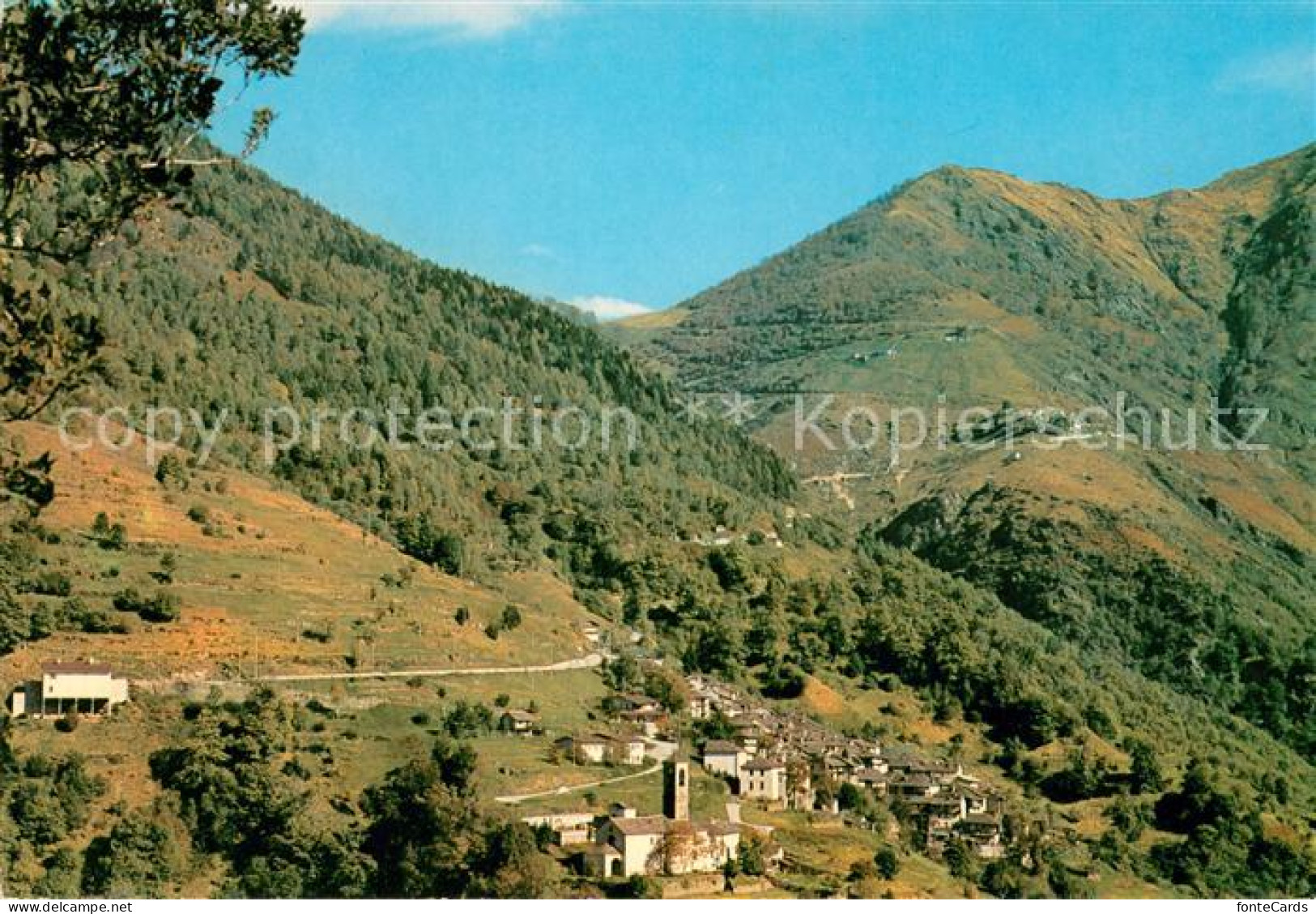 Indemini Panorama