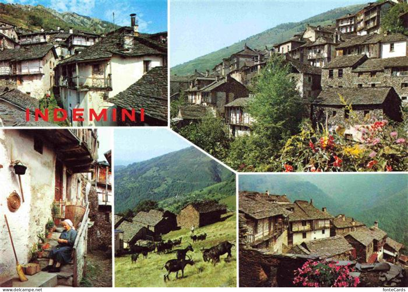 Indemini TI Ortsmotive