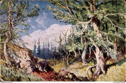 Artiste CPA Libanon, Am Libanon Gebirge, Waldpartie