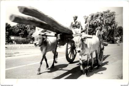 India?
