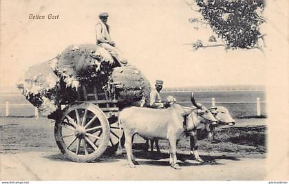 India - Cotton cart