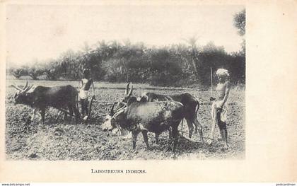 India - Indian ploughmen