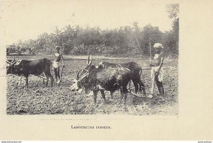 India - Indian ploughmen