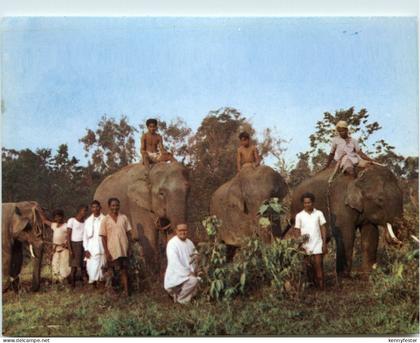 Indien - Tribus de l Assam