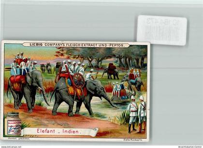 10184473 - Elefant in Indien - Sammelbild Liebig