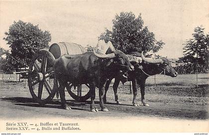 India - Buffalo team