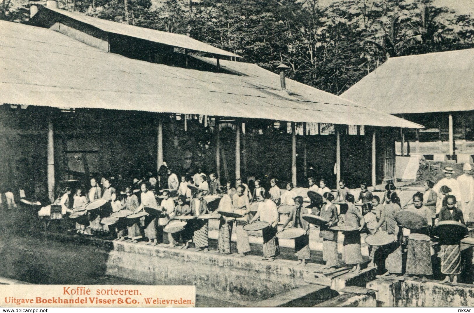 INDONESIE(TYPE) CAFE
