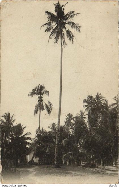 CPA INDONESIA Indonesia (341779)