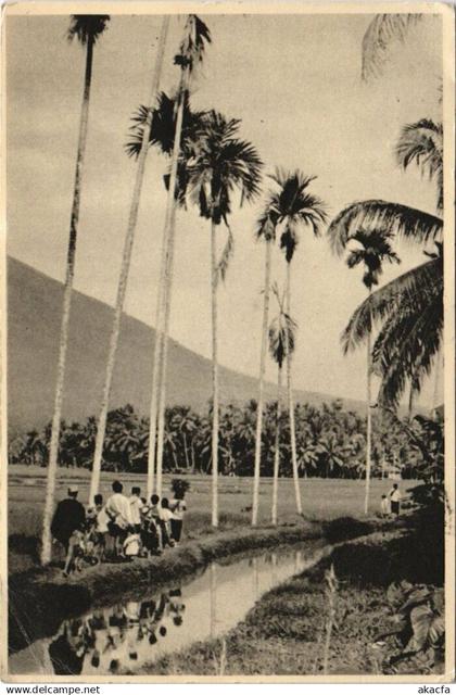 CPA INDONESIA Indonesia (341789)