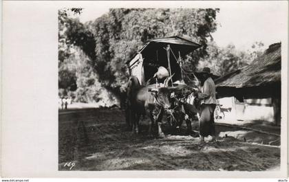 CPA INDONESIA Indonesia (341910)