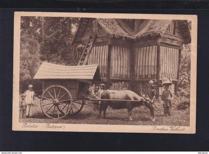 Indonesien Indonesia AK Sumatra Pedatie