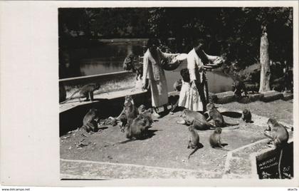 CPA INDONESIA Indonesia (341904)