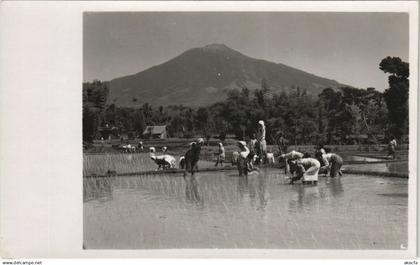 CPA INDONESIA Indonesia (341907)