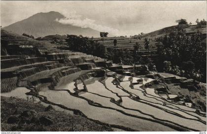 CPA INDONESIA Indonesia (342081)