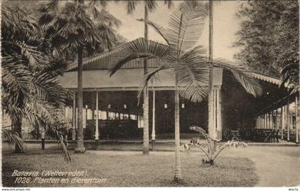 PC BATAVIA WELTEVREDEN Planten en Dierentuin INDONESIA (a18287)