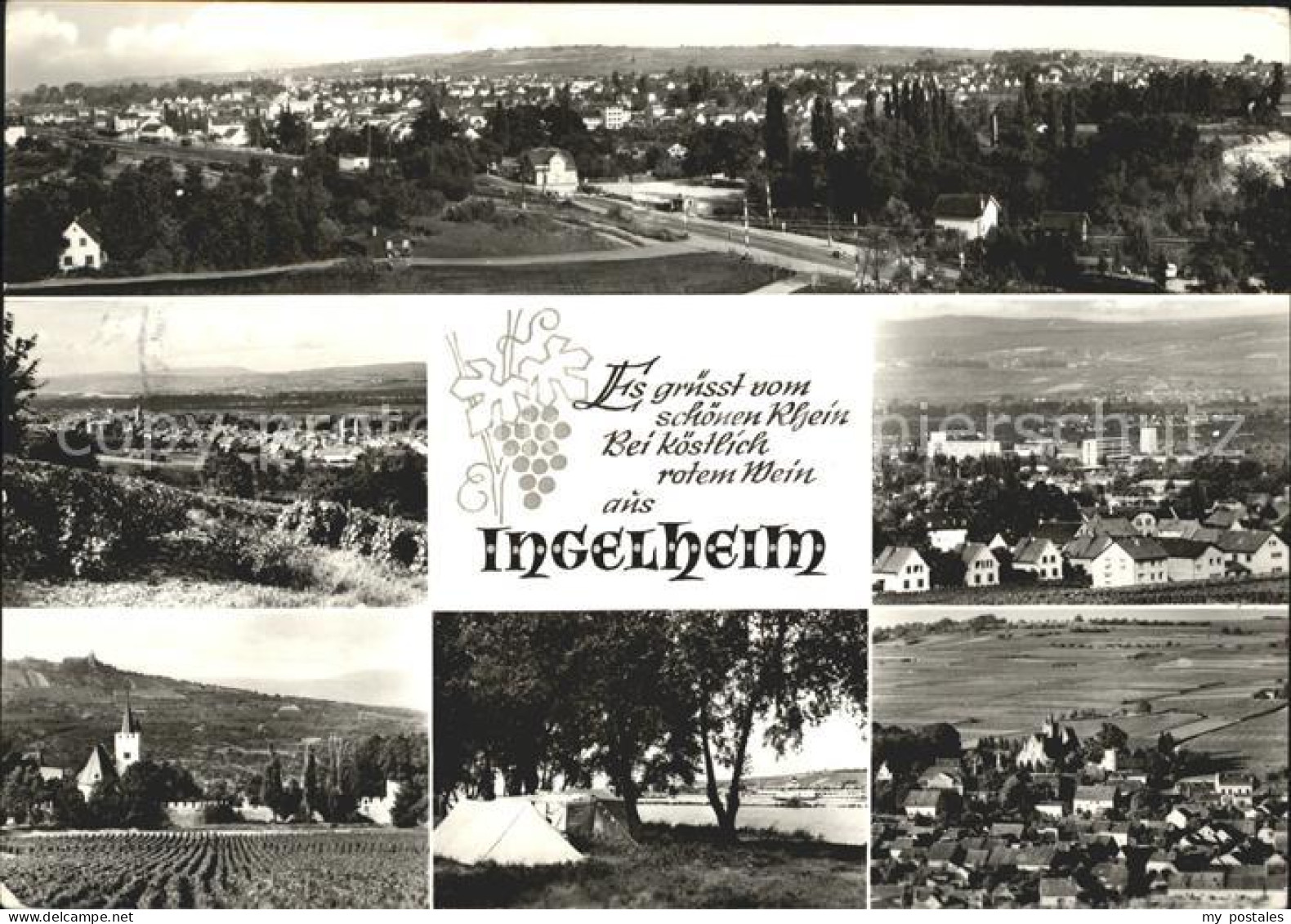 Ingelheim Rhein