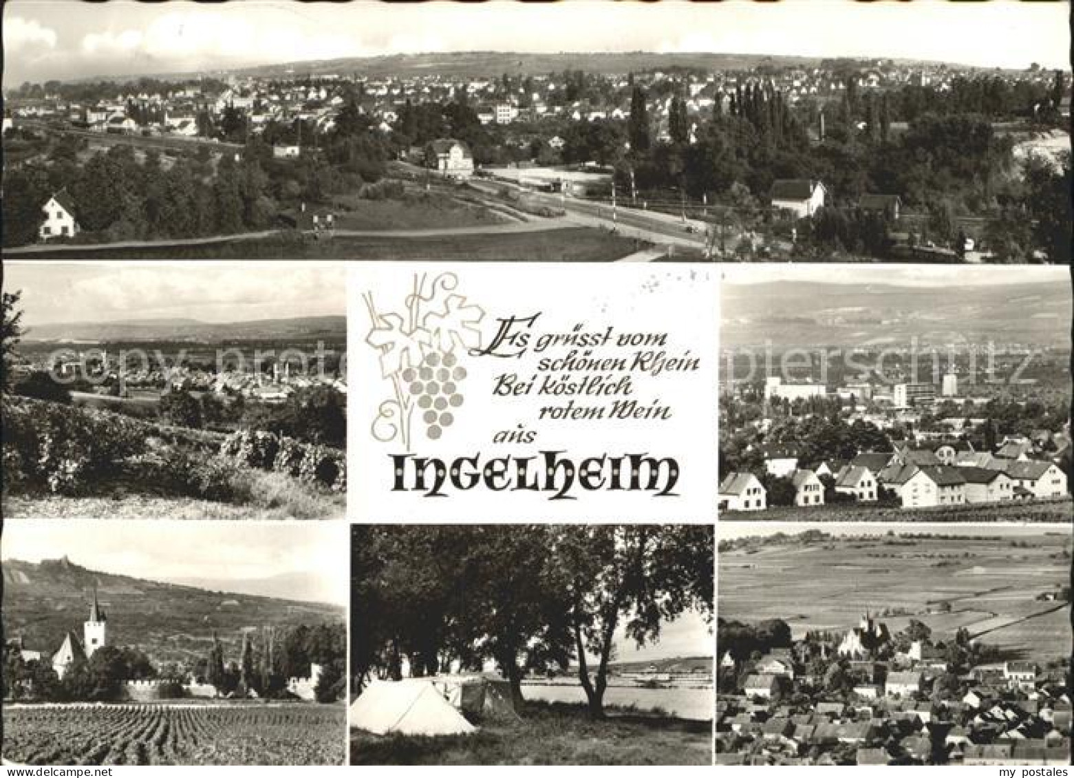 Ingelheim Rhein