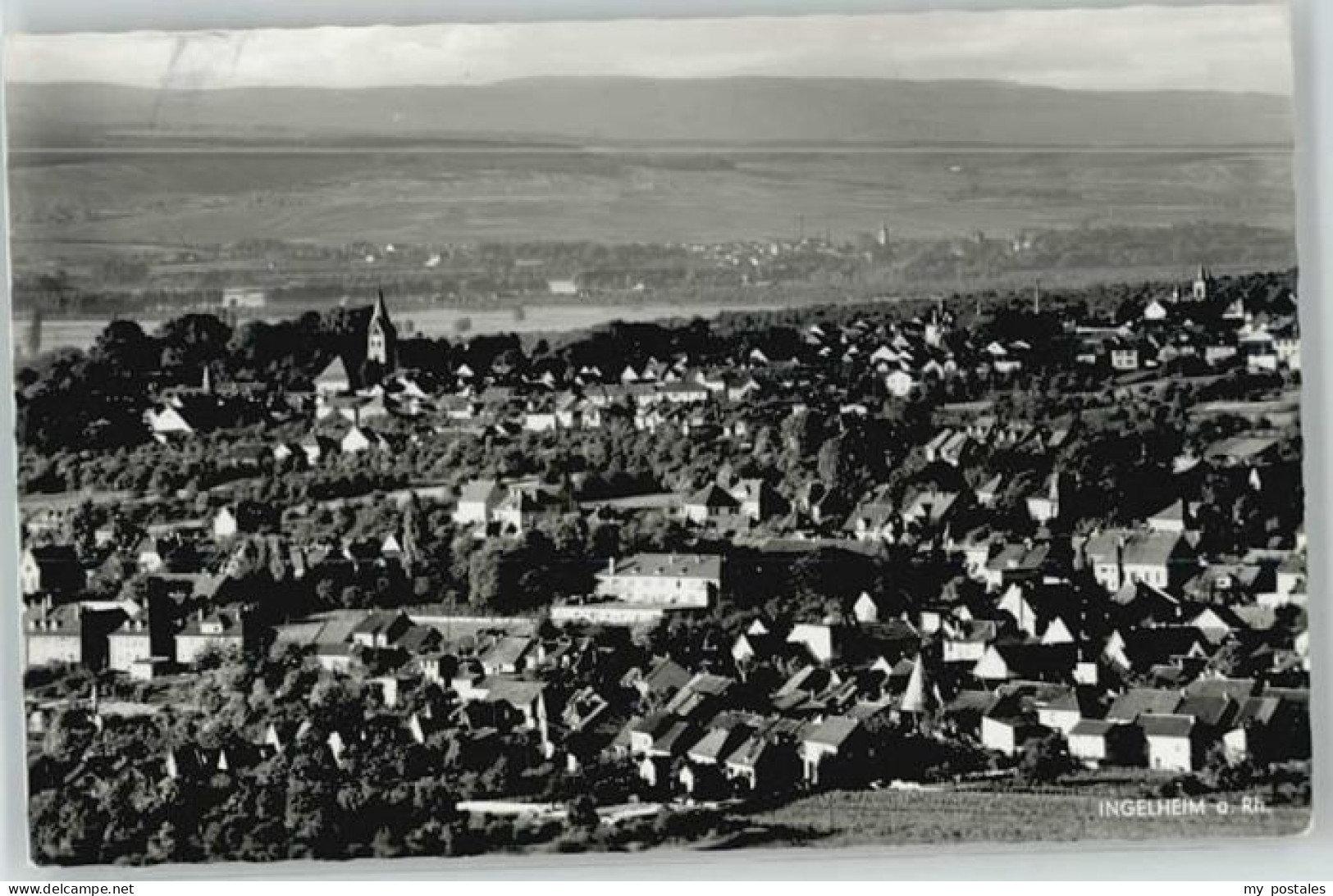 Ingelheim Rhein