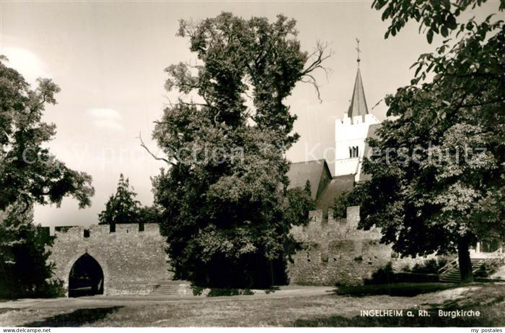 Ingelheim Rhein Burgkirche