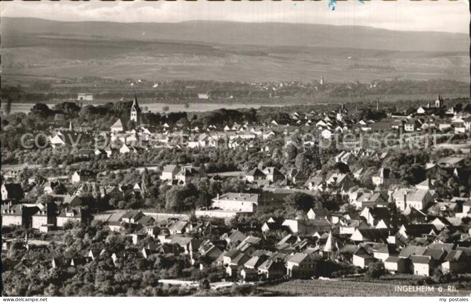 Ingelheim Rhein Panorama