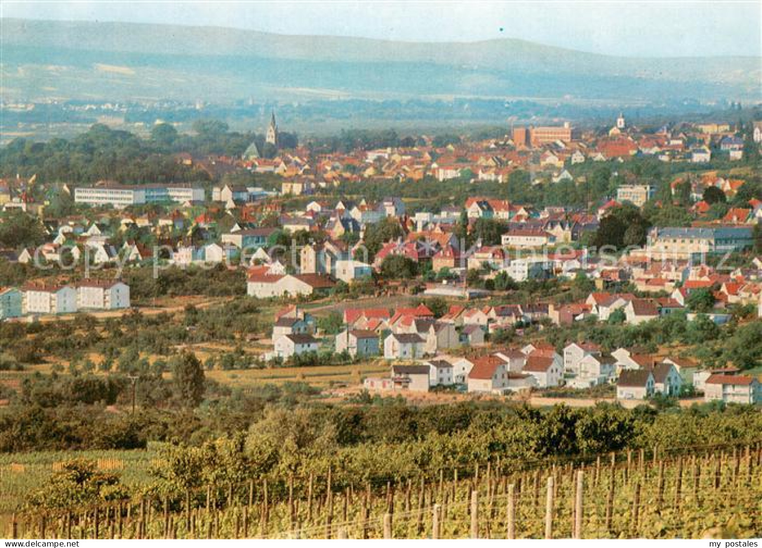 Ingelheim Rhein Panorama